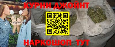 гидра Славгород