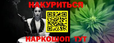 гидра Славгород