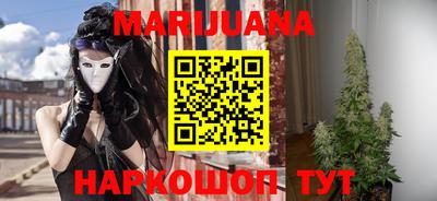 гидра Славгород
