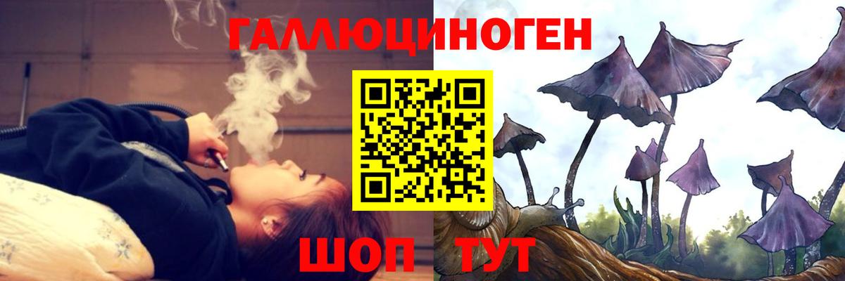 Псилоцибиновые грибы MAGIC MUSHROOMS  Галлюциногенные грибы Cubensis  Отрадное  Вход с VPN 